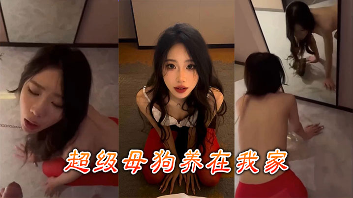 超级母狗养在我家